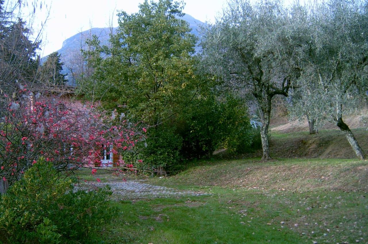 Casa Oliveto Villa กาไมโยเร ภายนอก รูปภาพ
