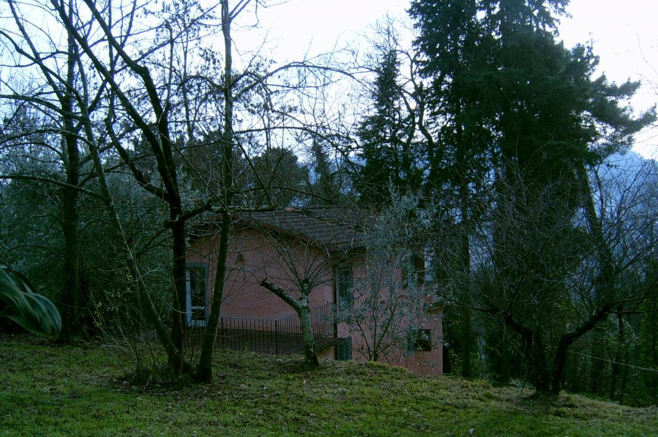 Casa Oliveto Villa กาไมโยเร ภายนอก รูปภาพ